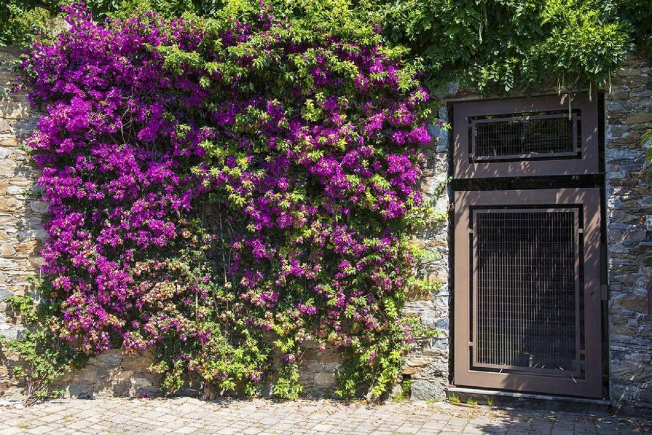 B&B Renalu Verbania Exterior foto